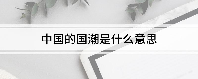 中国的国潮是什么意思